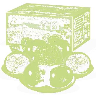 Jiangnan Specialty Green Rice Cake Black Sesame Flavor Qingming Festival Snack 12 Pieces 1.1lb