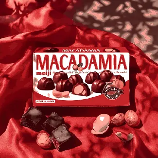 Macadamia Nuts Chocolate 2.25 oz