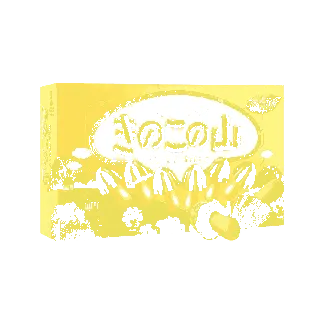 Mushroom Mountain Chocolate Cookies,Baked Chocolate Wheat Cracker, 2.32oz【TWICE & aespa Favorite】