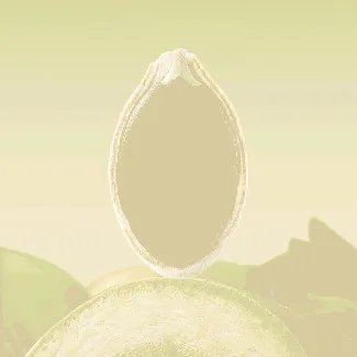 Original Flavor Pumpkin Seeds , 6.35 oz *3【3 Packs】