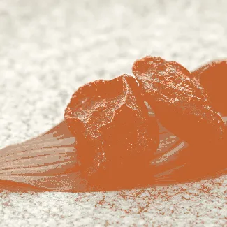 Six-Flavor Dried Plums 80g