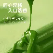 Matcha Chocolate 8-level Gradual Tea Flavor Chocolate Bar 80g(5*16 pcs) Premium Green Tea Chocolate, Fresh & Creamy, Pure Cocoa Butter Healthy Snacks