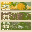 Large marinated lotus root crispy lotus root slices 180g*1 bag There are about 10 small packets in the bag.