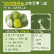Poi Flavor Qingtuan Qingming Kueh Gangnam Pastry 252g/ bag-with00063