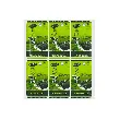 Roasted Seaweed with Green Tea - 12 Bags, 1.69oz