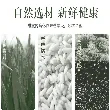 Traditional Qingming Green Rice Cake Jiangnan Specialty Mochi Pastry Snack 12 Pieces 1.1lb