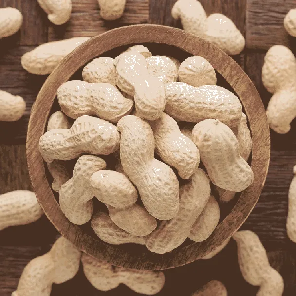 FARMER BRAND Dried Peanuts 300g