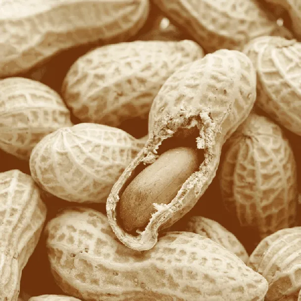 FARMER BRAND Dried Peanuts 300g