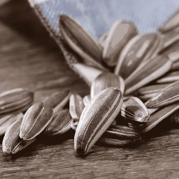 【Jackson Wang Favorite】Coconut Flavor Roasted Sunflower Seeds - Healthy Snack, 8.82oz