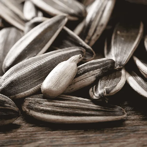 【Jackson Wang Favorite】Roasted Salted Sunflower Seeds - Five Spice Flavor, 8.82oz