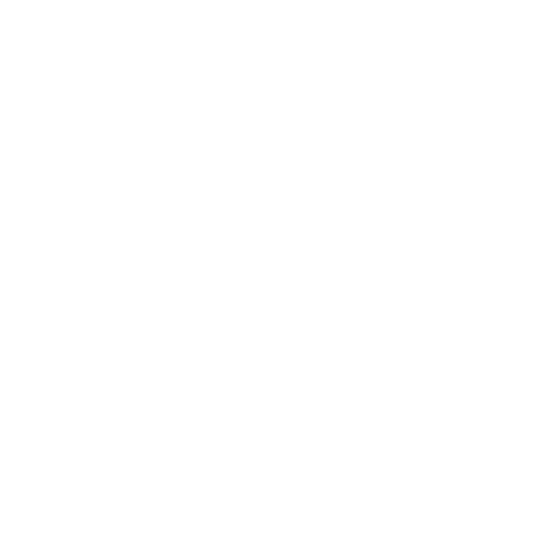 Mung Bean Cake - Chinese Pastry, 4.51oz