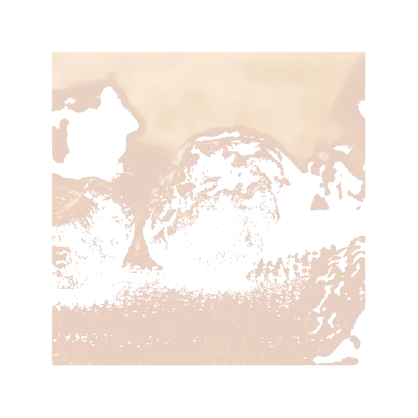 Nine-Processed Half Plum 170g