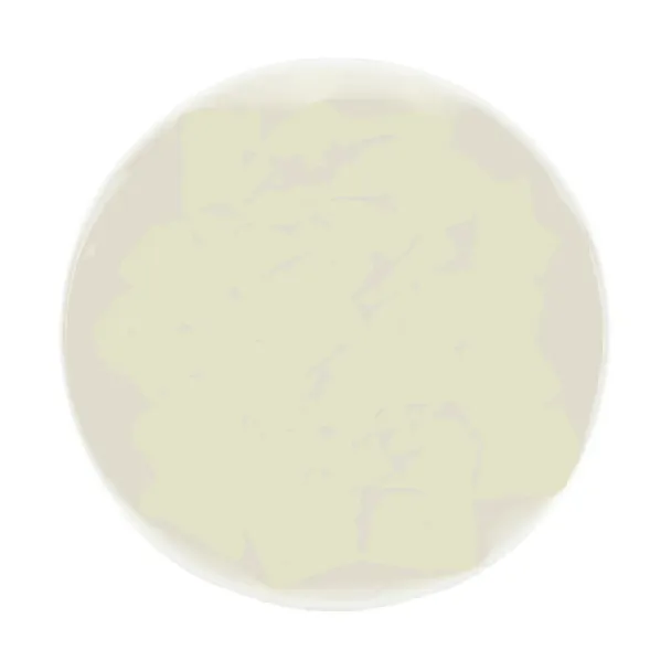 Onion & Tofu Snack 120g