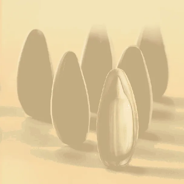 Original Flavored Sunflower Seeds Canned , 5.92 oz