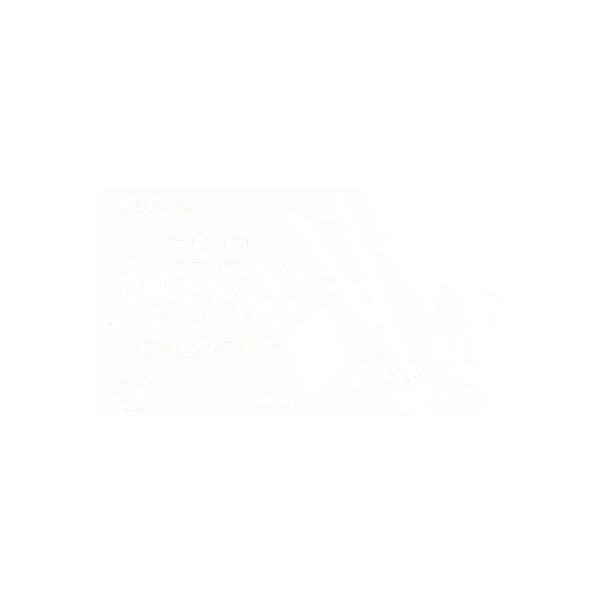 PEPERO Crunchy Chocolate Biscuit Stick, 【8 packs in 1 box】11oz【Stray Kids Pick】【Packing May Vary】