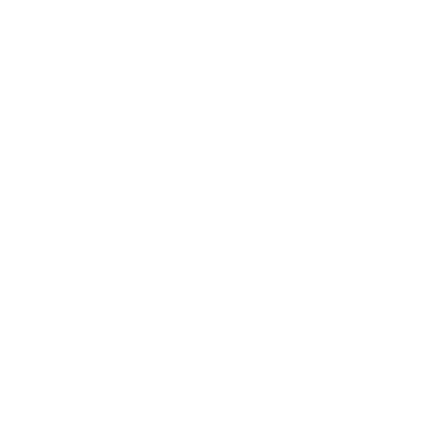 Shrimp Flavored Chips 1.58 oz