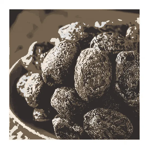 Snow plum dried candied fruit [5 packs inside] 100g * 1 bag