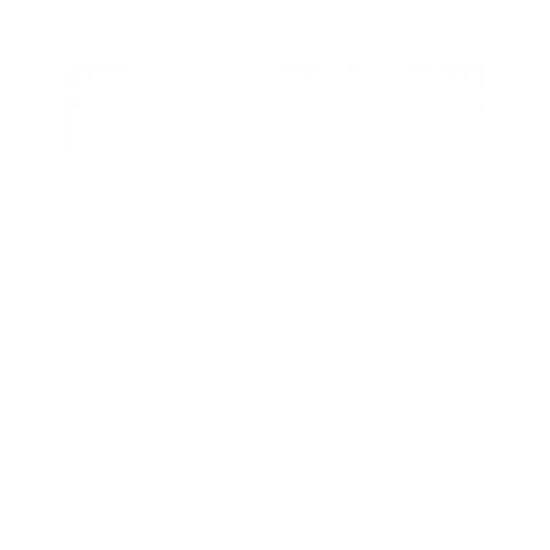 Tangerine Peel Preserved Plum Cake 70g